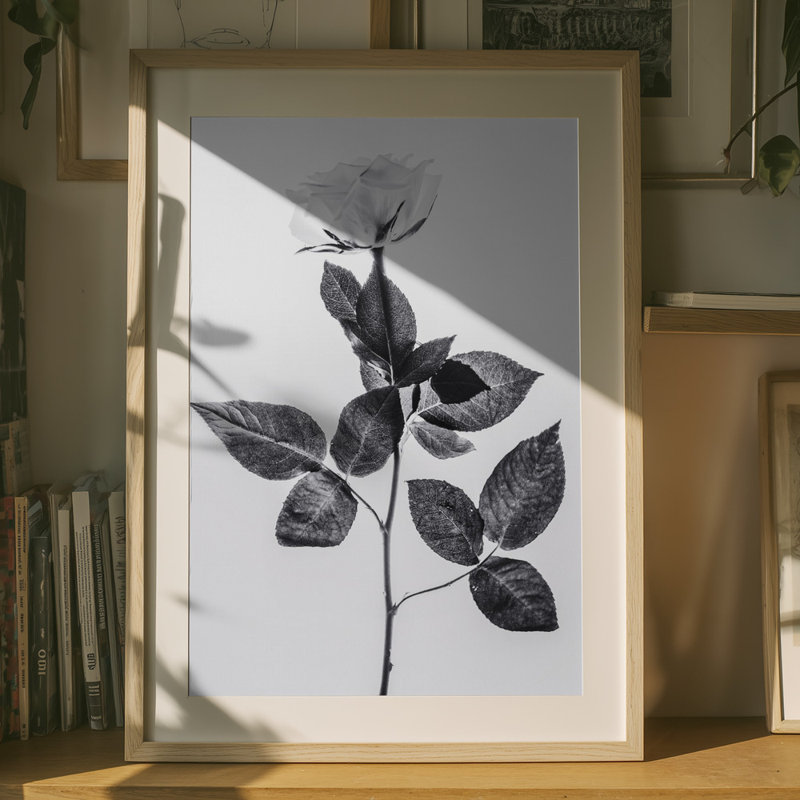 Wrapped Canvas Print, 76.2 cm H x 50.8 cm W