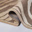 Braswell Brown/Cream Area Rug-19265786