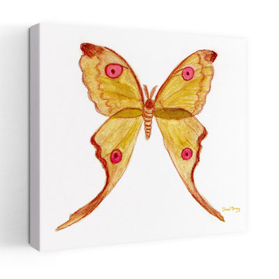 Contemporary Art Colorful Delicate Vibrant Fly Moth Wall Art by Janel Bragg - Wrapped Canvas Print