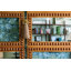 LAUZ Wall Sconce by Mandy Cheng x Mitzi
