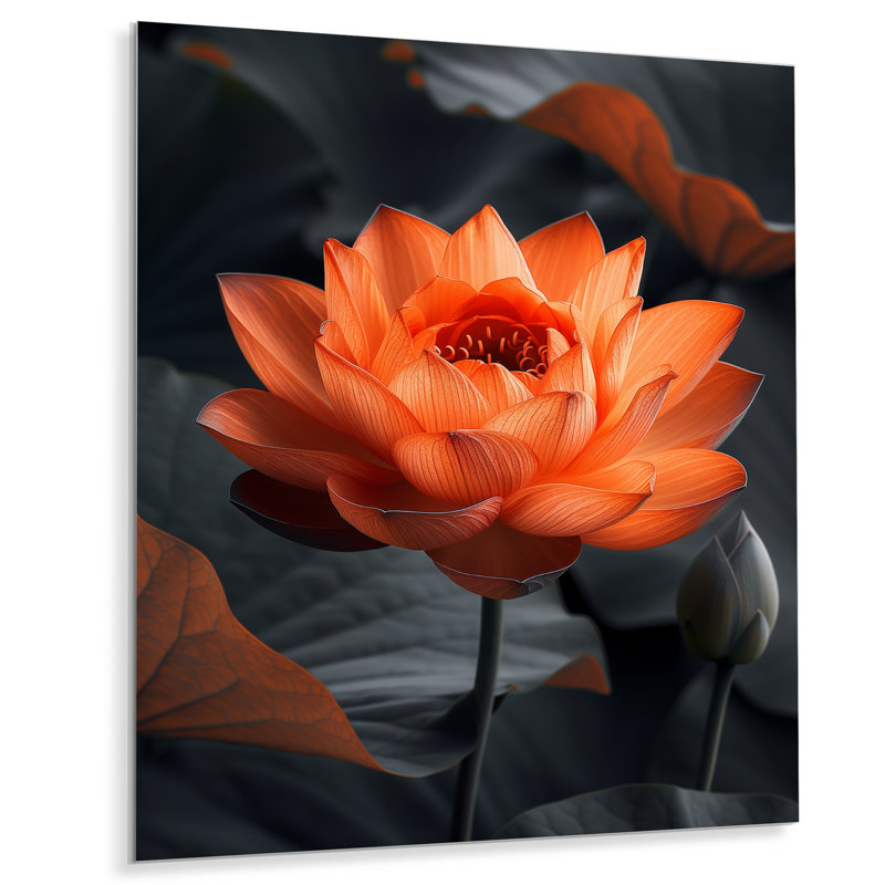 Décoration murale orange et gris rétro Lotus Photo III - Lotus, Sans cadre, métal, H 34 po x l 44 po