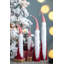 S / 4 Skny Tl Cone Gnome