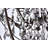 Svante 18-Light Dimmable Globe Chandelier-22858834-22858836