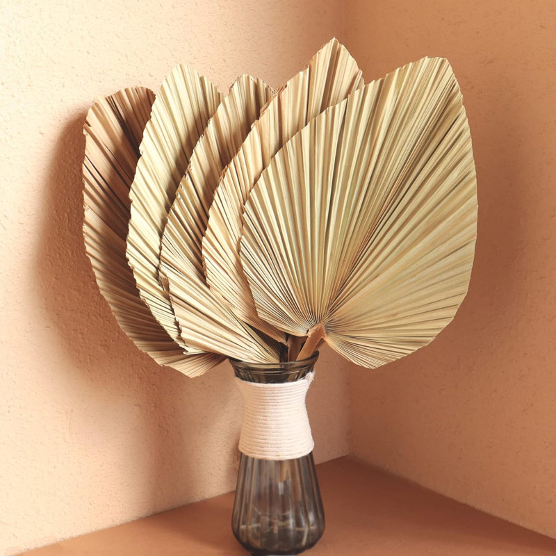 5pcs 18" Dried Palm Leaves