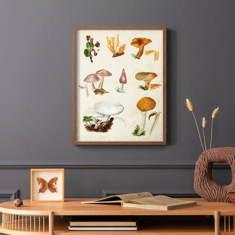 «Mushroom Species VI», reproduction encadrée - bois massif, Brun, H 10 po x l 8 po