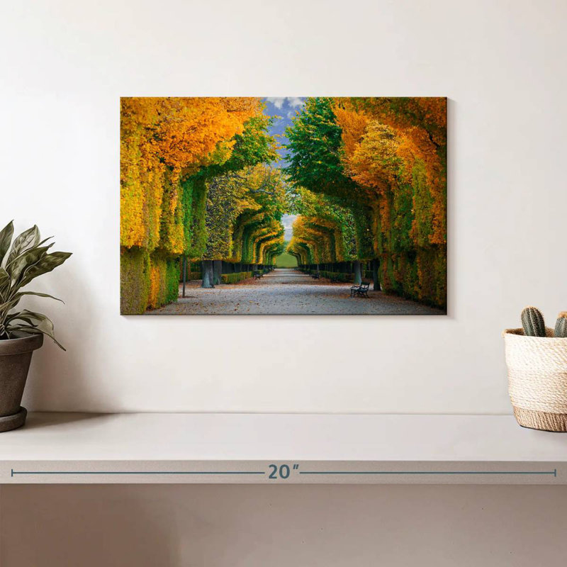 Alvord Autumn Tree Tunnel, 8" H x 12" W
