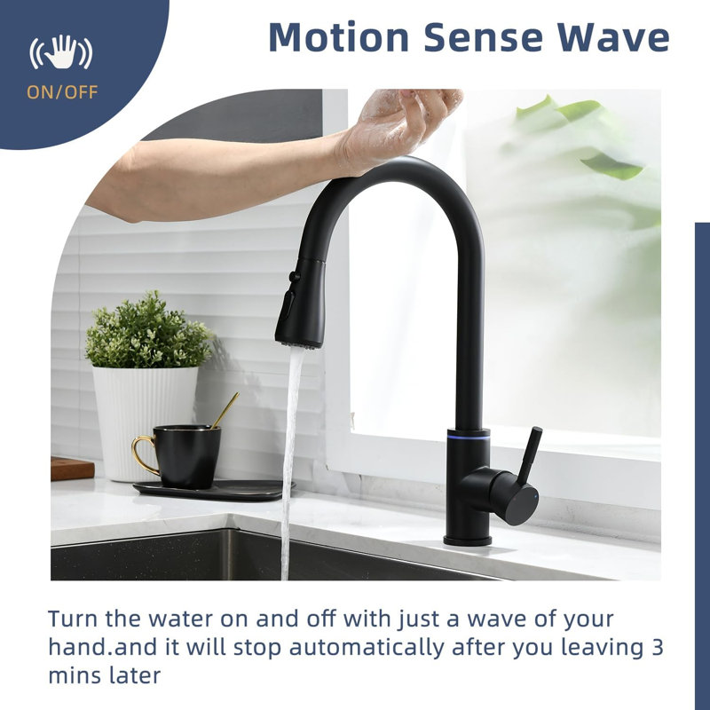 Belfry Kitchen Aliff Kitchen Faucet