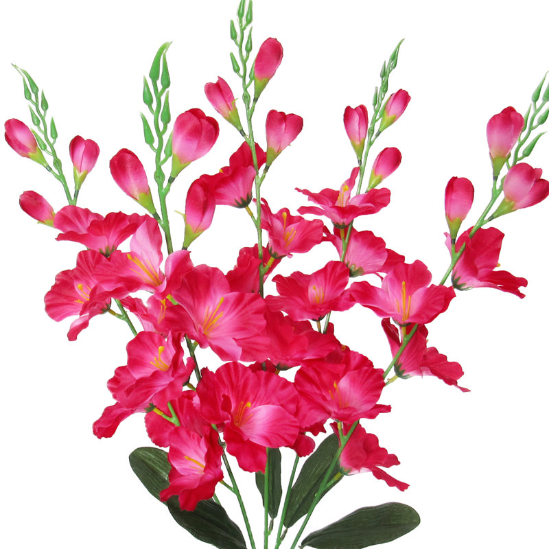 Bouquet de glaïeuls et de tiges de fleurs, Rose vif