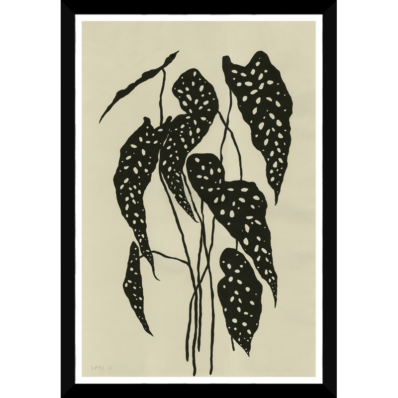 Begonia Print by Susan Hable