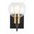Escondido Iron/Glass Rustic Vintage LED Vanity Light-97602535