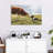 Brampt Border Collie And Cow-107707391
