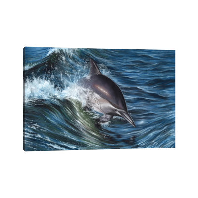 Dolphin by Richard Macwee - Wrapped Canvas Print