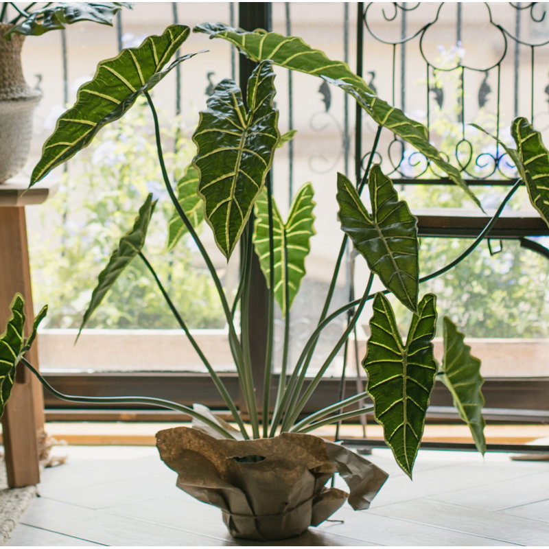 Plante alocasia artificielle en pot