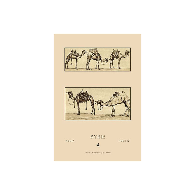 "une variété de howdahs de syrie" par auguste racinet, impression