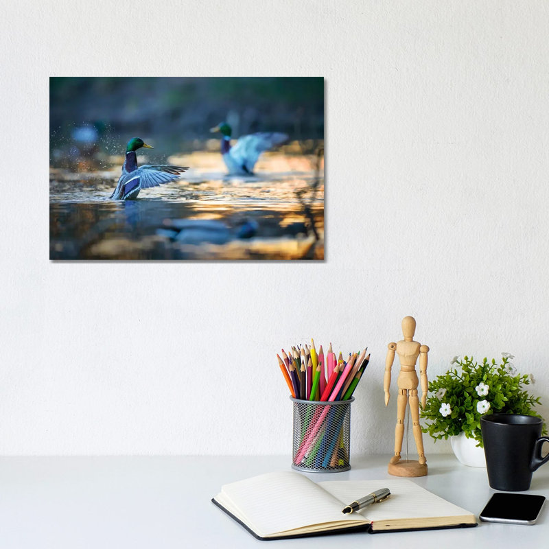 Mallard Ducks II by Mateusz Piesiak - Wrapped Canvas Print, 20.32 cm H x 30.48 cm W