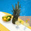 Table basse Shoreline Surfboard-481249869-480849261