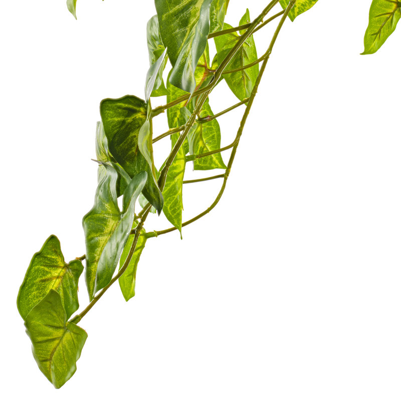 25" Green Artificial Syngonium Bush