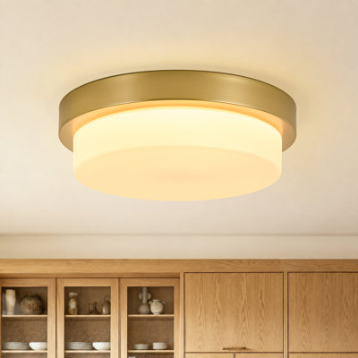 Brass LED Opal Glass Round Ceiling Light