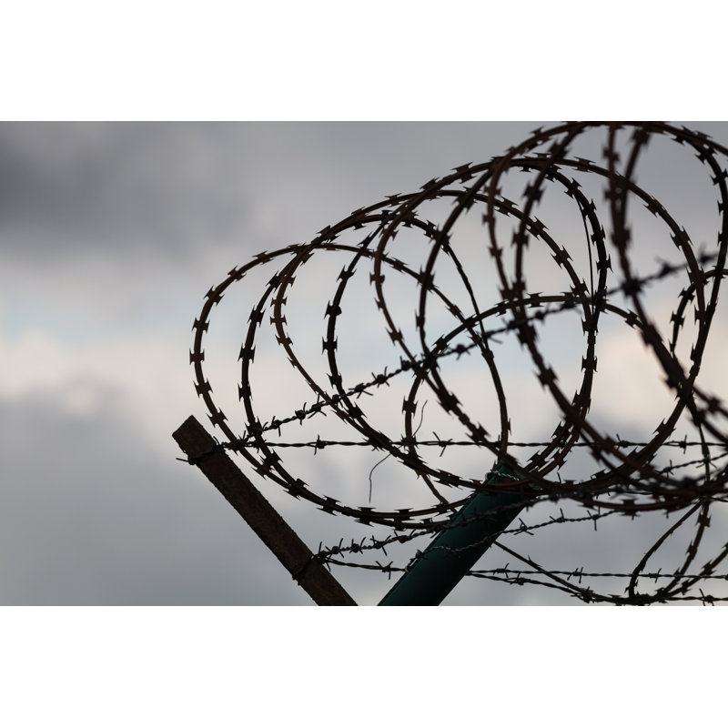 Barbed Wire Fence by Dzika_mrowka - Wrapped Canvas Print, 51cm H x 76cm W x 3.8cm D