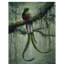 Yand «Resplendent Quetzal 2», reproduction de peinture acrylique sur toile tendue-30362538