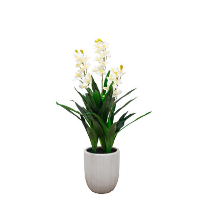 Orchidée artificielle 3,5 pi Natural Touch