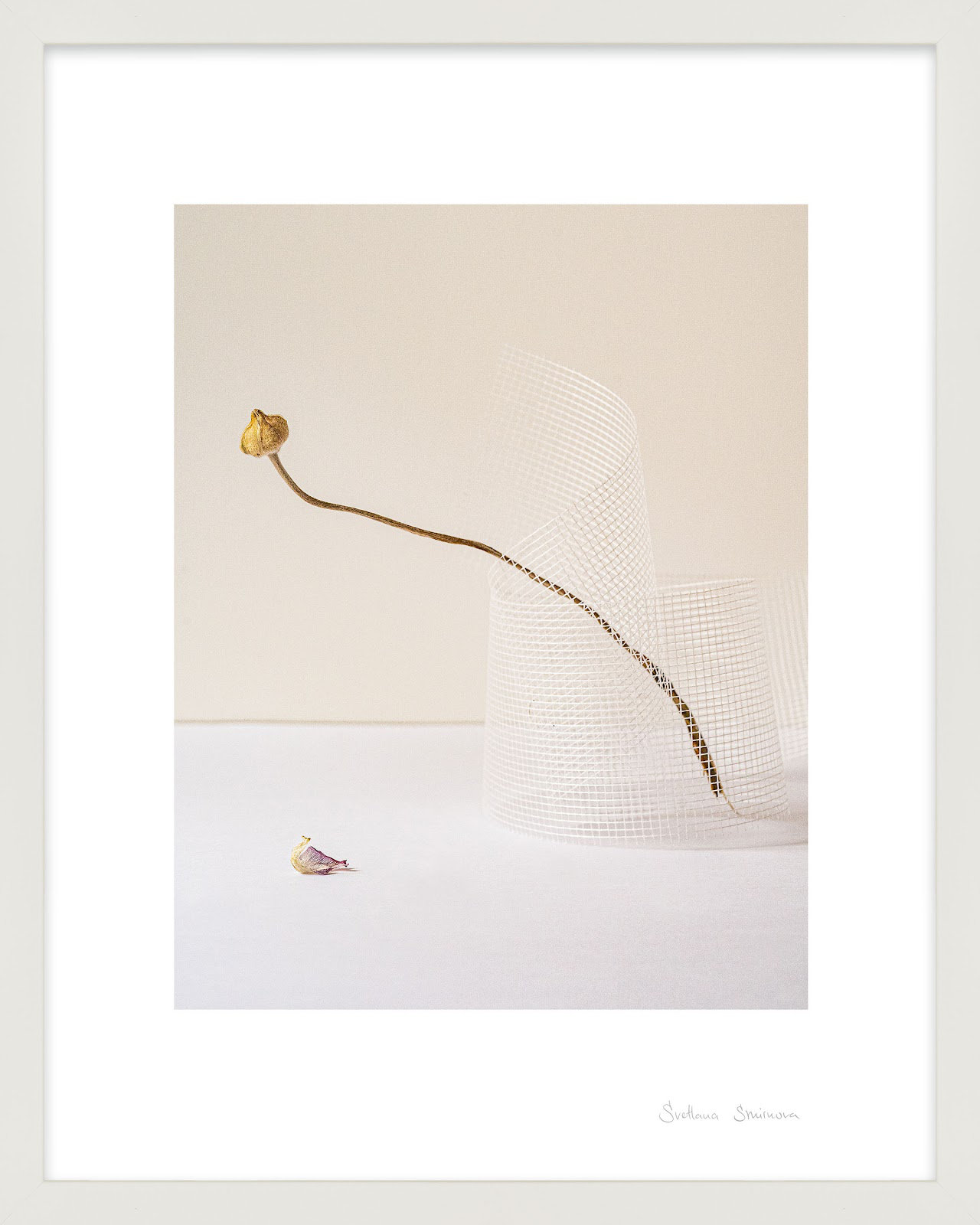 Lombard "Balance 2" Photo Print, White, 30" H x 24" W x 1.25" D