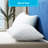 Springer Medium Pillow-830417593