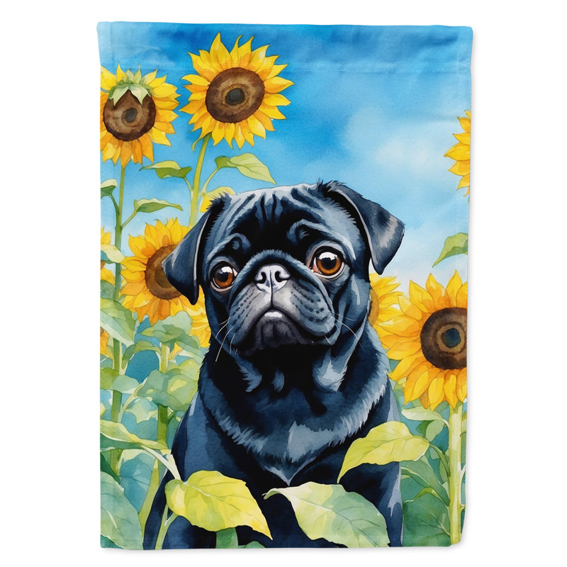 Lévrier irlandais dans le drapeau du jardin de tournesols, Pug noir