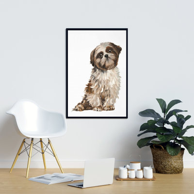" Shih-tzu "