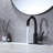 Single Hole Single-Handle High Arc Bathroom Faucet With Swivel Spout In Matte Black