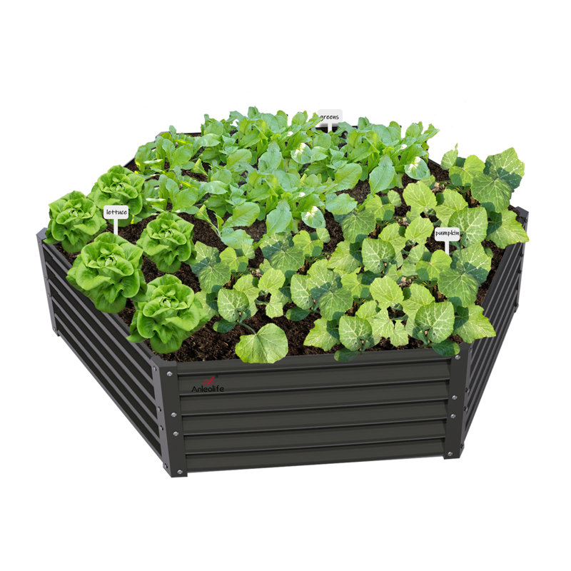 Jardinière surélevée galvanisée Hexagon 70x60x18, Gris