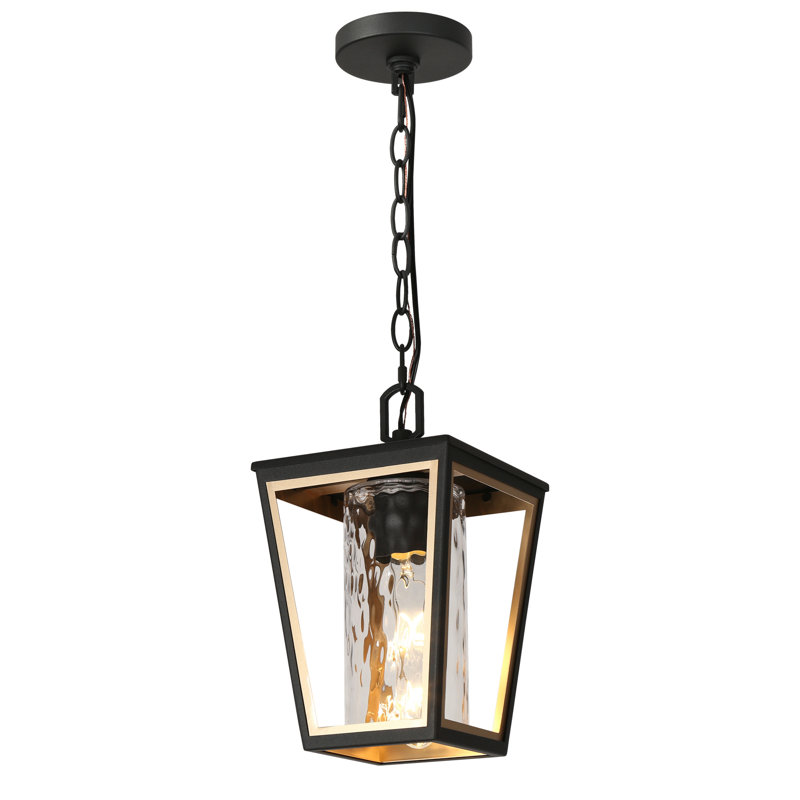 Alexia 1-Light Outdoor Hanging Light