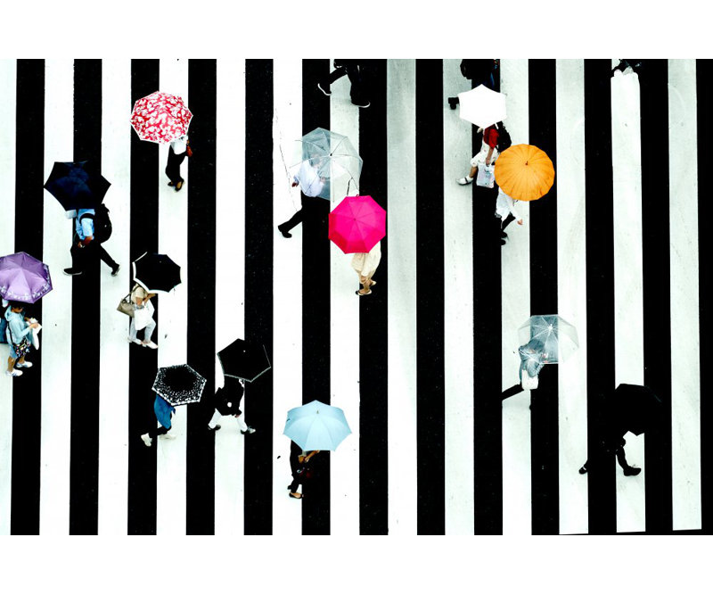 Wrapped Canvas Print, 50.8 cm H x 76.2 cm W