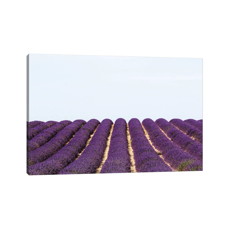 France Provence Lavande Field Pair I - Wrapped Canvas Print, 66.04 cm H x 45.72 cm W x 1.91 cm D