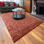 Dimitrios Shag Area Rug-54644017