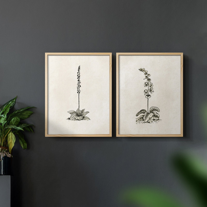 «Vintage Floral LX», impression giclée sur cadre - ensemble de 2, Naturel, H 17 po x l 42 po
