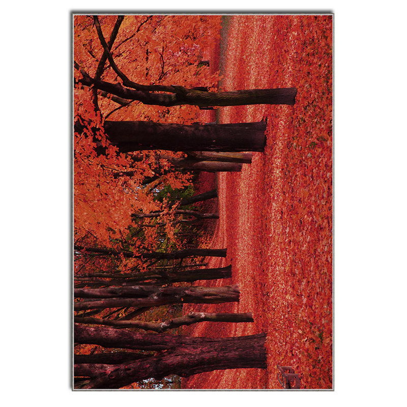 Luxurious Velvet Area Rug, 4.6 x 7.2 Feet | 100% Polyester, 740 g/m² | Non-Slip Felt Dot Underside, Machine Washable | Digital Print Design, Easy to Clean, Perfect for Living Room & Bedroom Décor