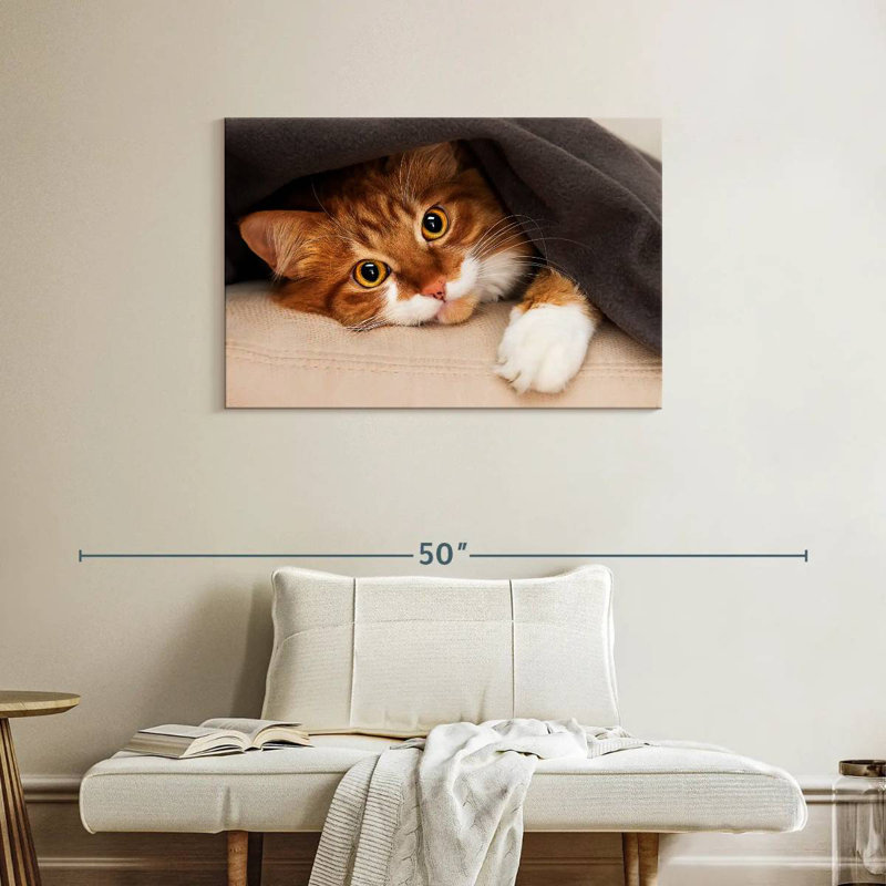 Crowle Cozy Cat, 24" H x 36" W