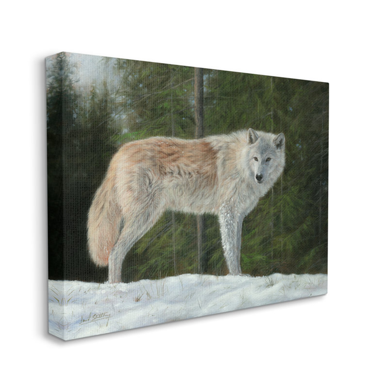 «Wild Coyote Wolf Gazing Snowy Forest Clearing» par David Stribble - peinture sur toile tendue, H 16 po x l 20 po x P 1,5 po