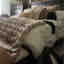 Photos des clients 1 de 1