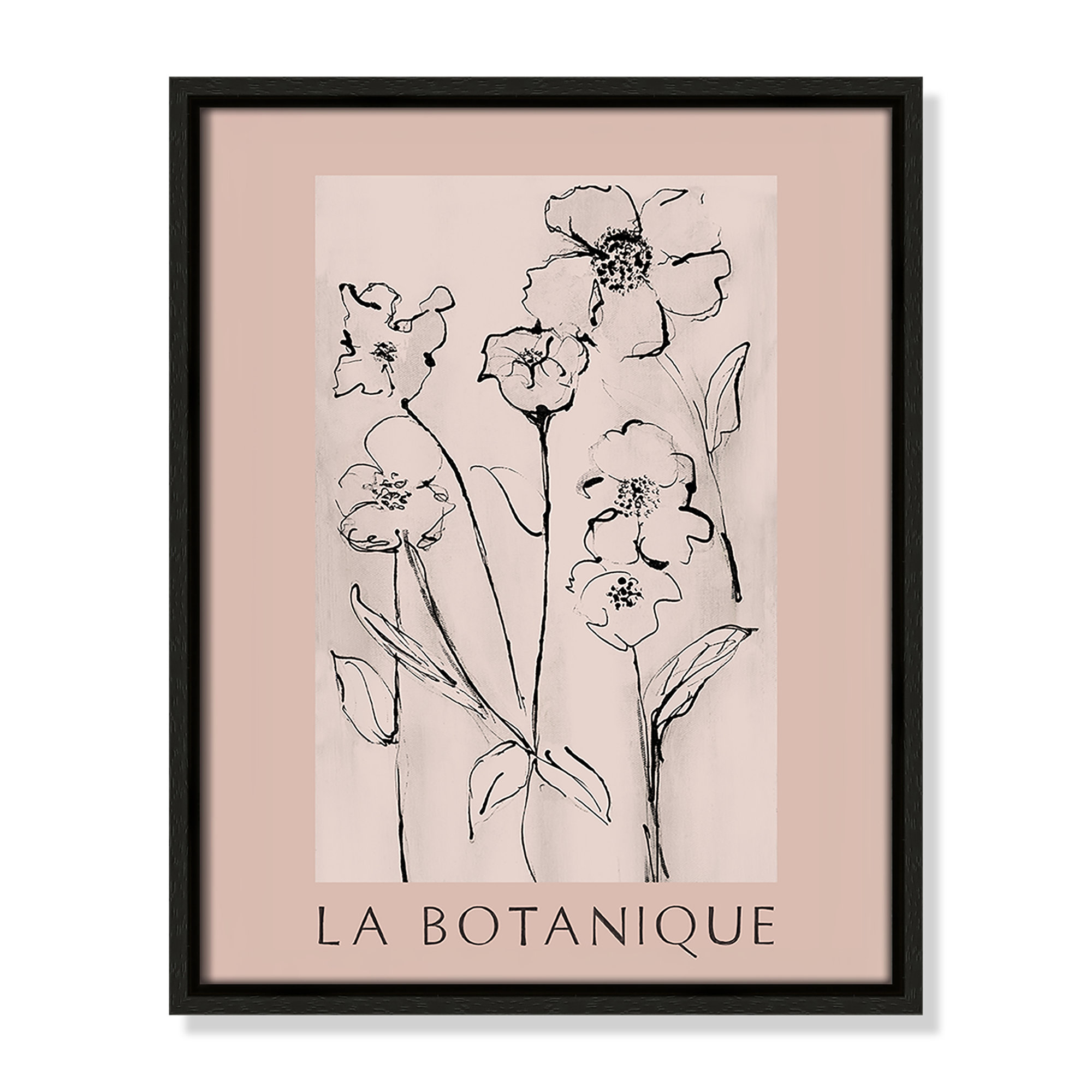 Botanical Poster Collection " La Botanique " by Susan Jill, 15.5" H x 12.5" W x 2" D, Espresso Floater Frame, No