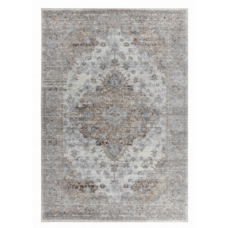 Tapis d'intérieur / oriental brun / gris 4 pi x 6 pi (3 pi 11 po x 5 pi 7 po) Amina de Branch Branch, Rectangle 4 pi x 6 pi