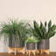 Pot à fleurs en céramique avec support en bambou - Pot moderne avec base surélevée pour l'intérieur-2128106334-2016597977-2016597955