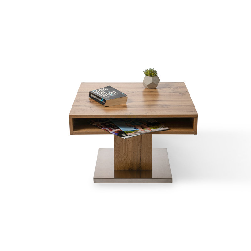 Krasimira Pedestal Coffee Table with Storage