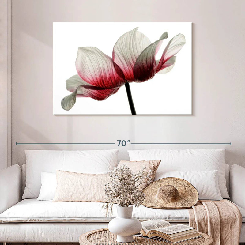Harnek Red And White Ranunculus, 30" H x 45" W