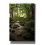 «Lush Creek in Forest» par Debra Van Swearingen, art mural sur toile-112483286