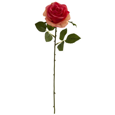 Tige roses