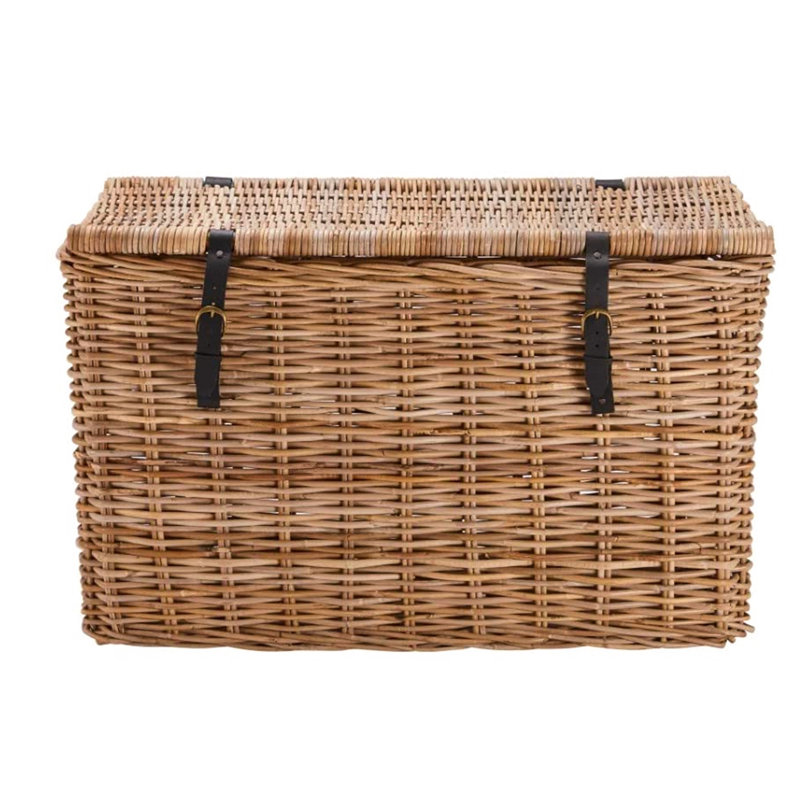 Arviso Wicker Trunk