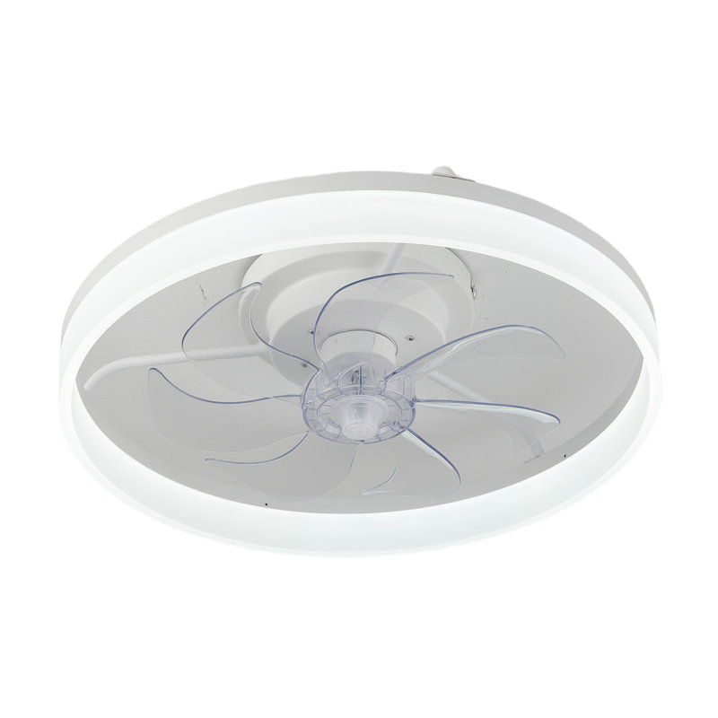 Ceiling Fan