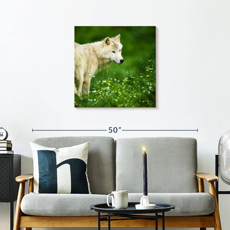 Crowle Arctic Wolf In Meadow